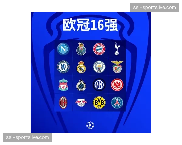 “财务观察：欧冠扩军背景下，德甲中游球队如何规划赛季投入与营收”